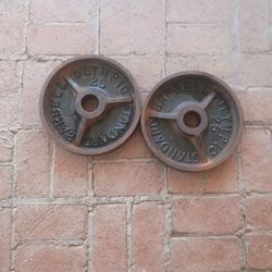 Olympic Weight Plates 