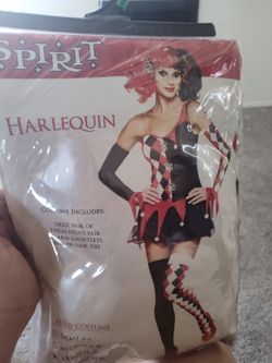 adult Harley Quinn Halloween costume