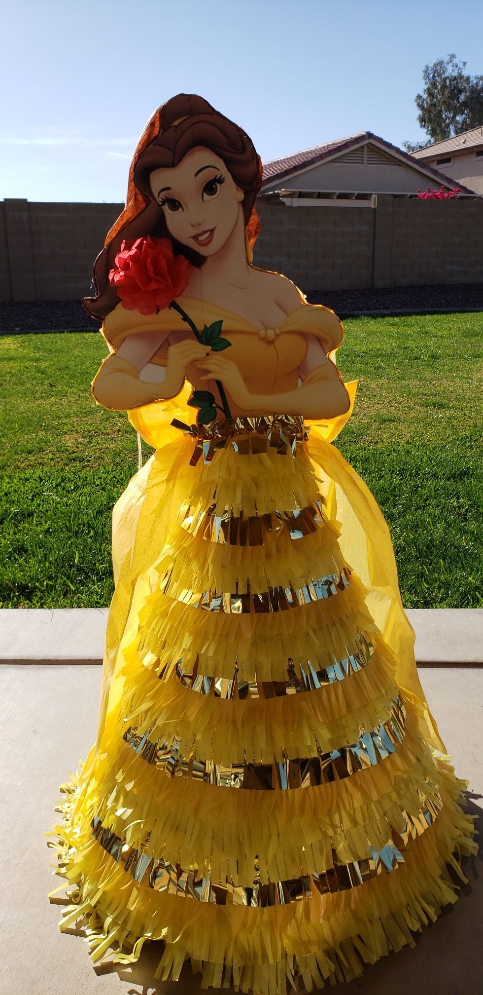 Princess belle pinata