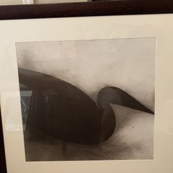 Peabody duck framed picture print