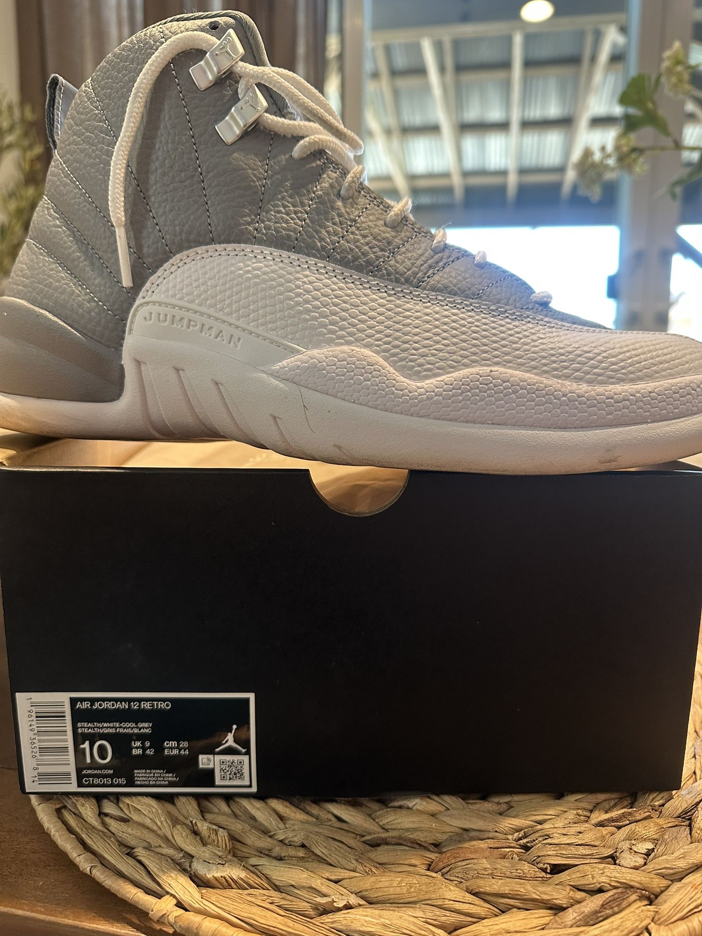 Jordan 12 Stealth