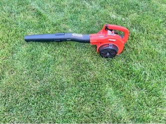 Echo Pb-250 LN blower