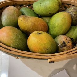 East Indian Mangoes 