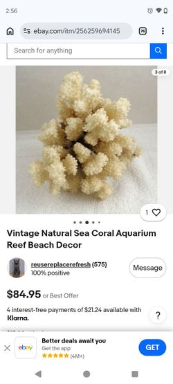 Vintage Natural Sea Coral Aquarium Reef Beach Decor