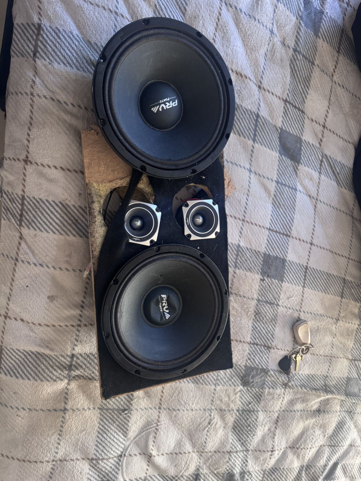 10inch Prv Fortes