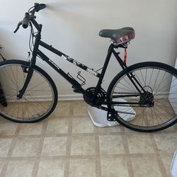 Adult Bike