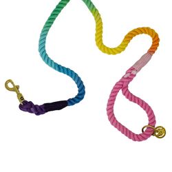 Pink Papyrus Nola Rainbow Rope Dog Leash: 4-ft long