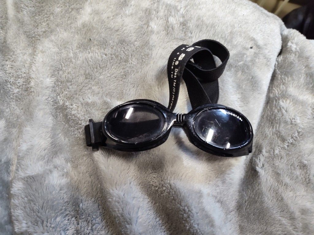 Black, Doggles, Doggie Goggles