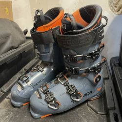 Technica Ski Boots 