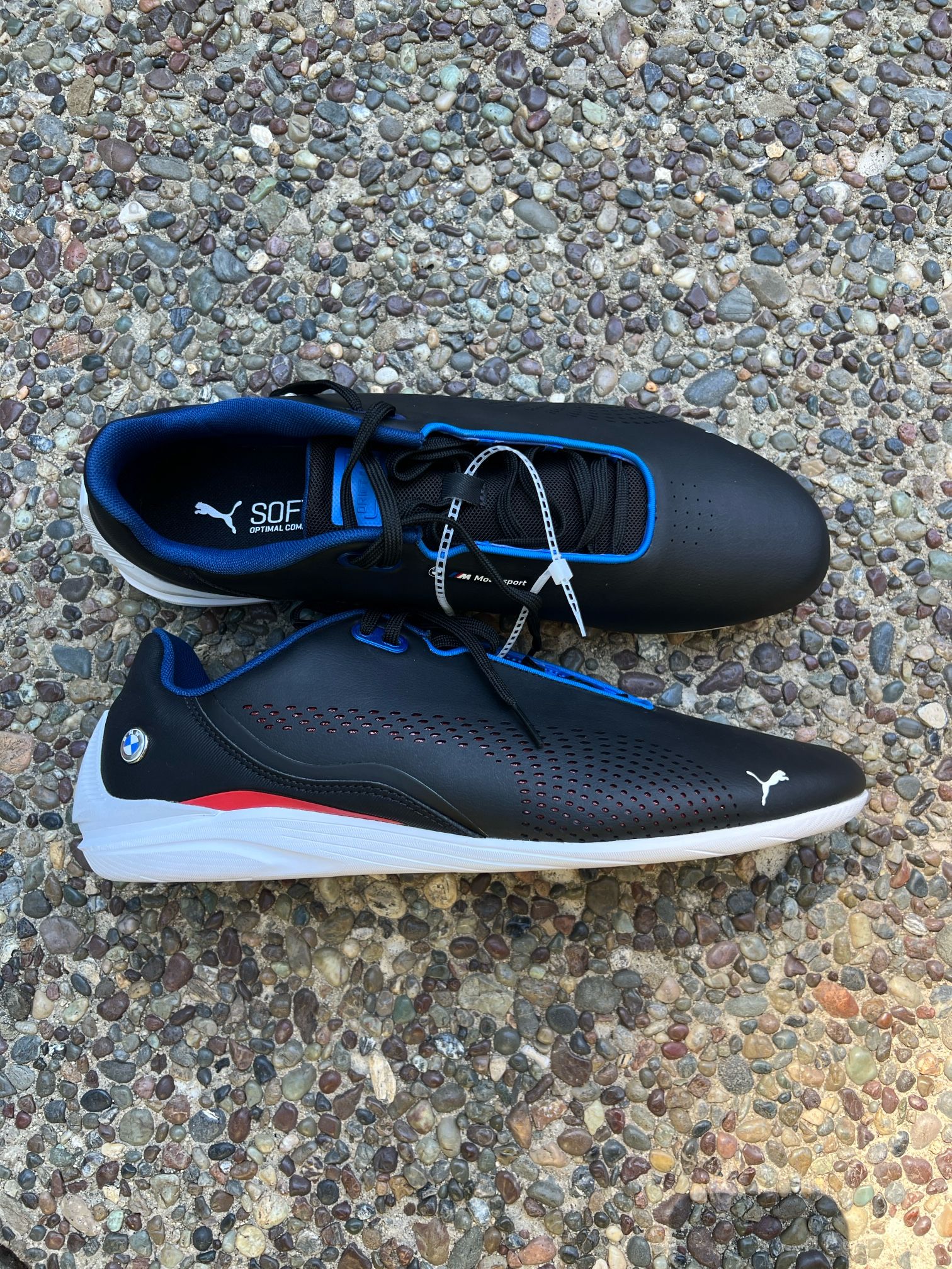 Men's Puma BMW MMS Drift Cat Decima Puma Black-Pro Blue-Pop Red  Size 13