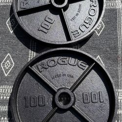 Rogue 100 lb Pair Deep Dish Weights