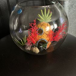 Fish tank with SpongeBob’s house