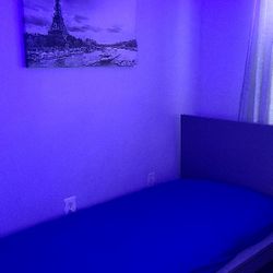 Grey Twin Sze Bed With Mattress (Like New)