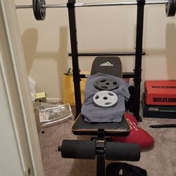 Weights and Bench