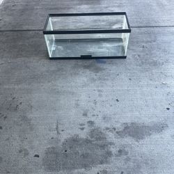 Fish Tank 