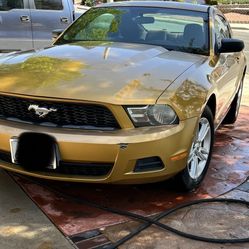 2010 Ford Mustang
