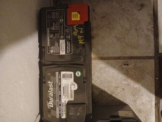 Platinum agm battery