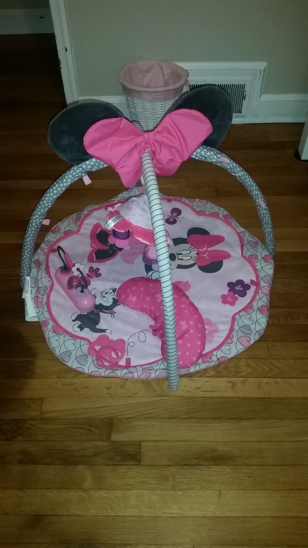 Minnie mouse garden sales fun activity gym