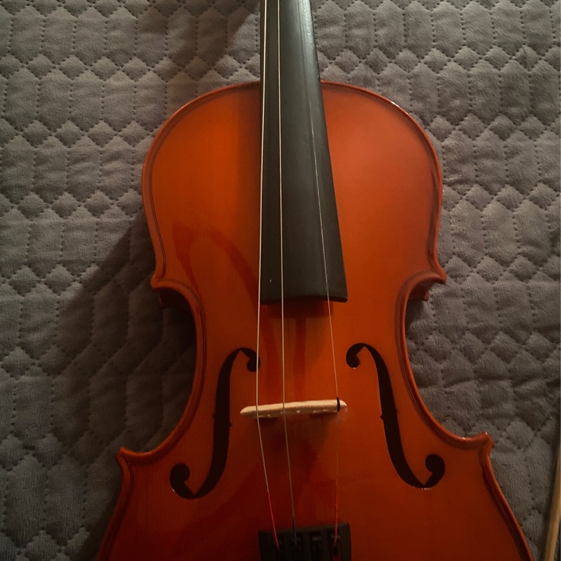 Violin