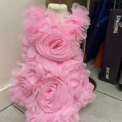 Cute Dresses 
