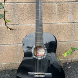 Vizcaya Acoustic Guitar
