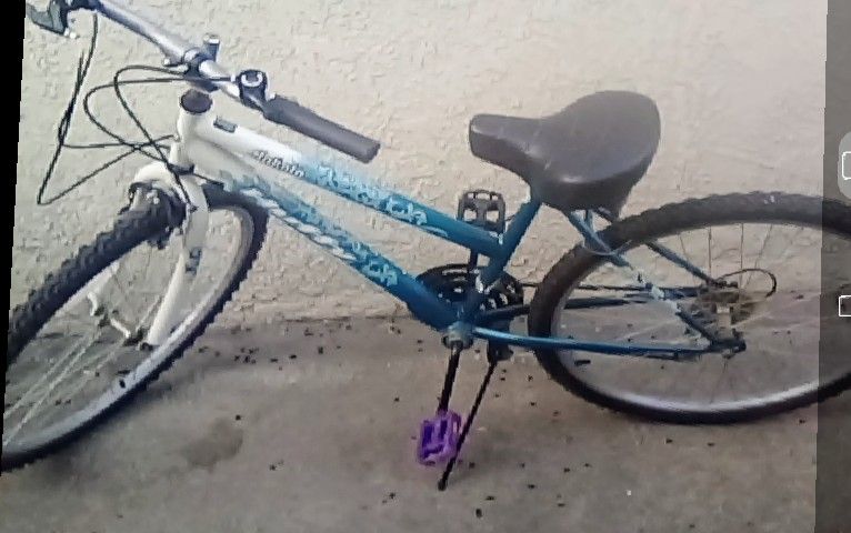 $25 Bike