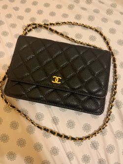 Wallet Chain Bag