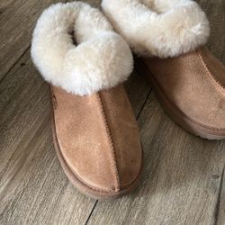 Uggs 