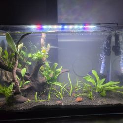 10 Gallon Fish Tank / Aquarium 