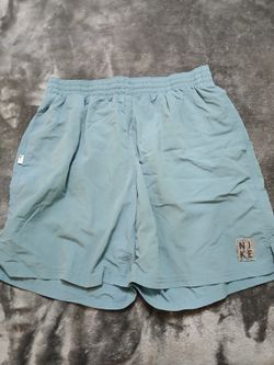 Nike Athletic Shorts Light Blue