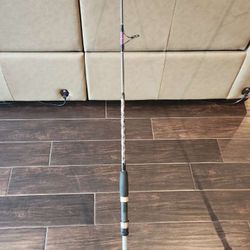Custom Fishing Rod 