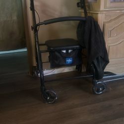 Medline Walker