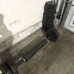 Barbell + Weights 