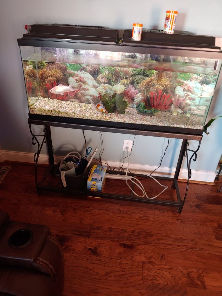 Large Fish Tank Stand ONLY.