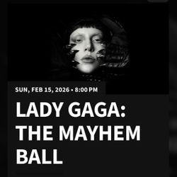 Lady GAGA CONCERT 2/15/2026 At 8pm