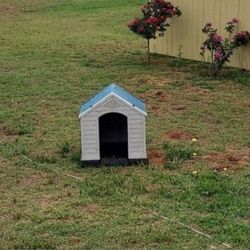 Dog House 