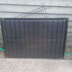 Big Dog Kennel