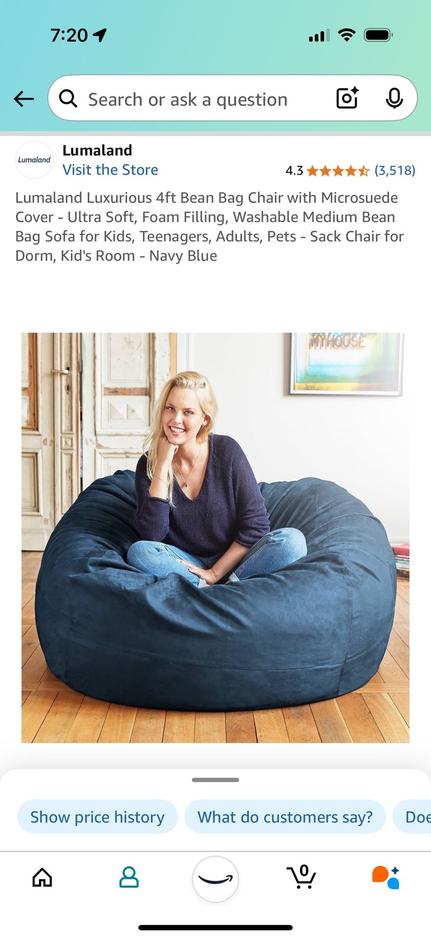 Lumaland Luxurious 4ft Bean Bag Chair with Microsuede Cover