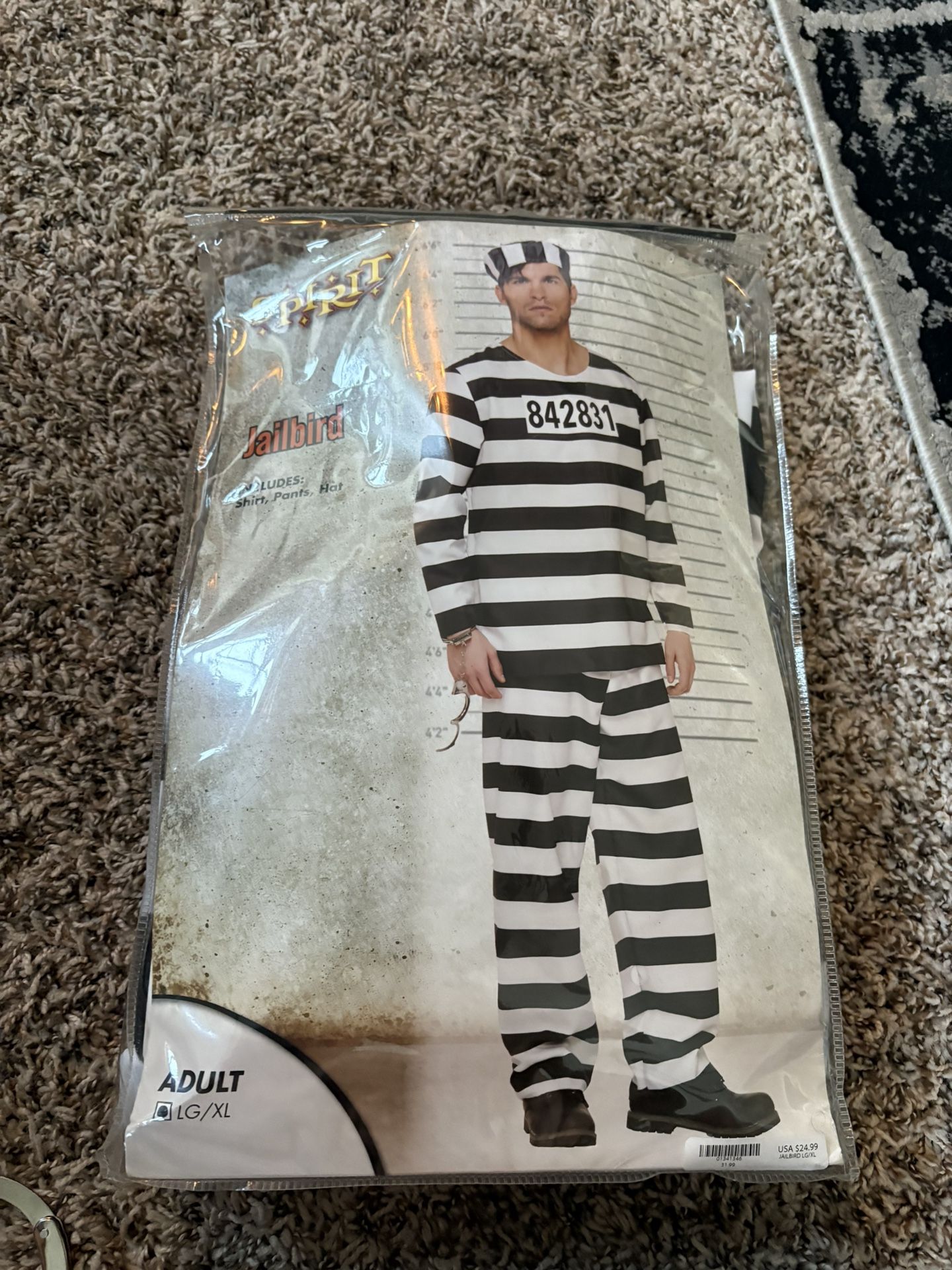 Halloween Prisoner Costume