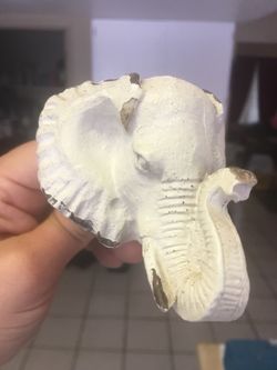 Cabinet Door Pulls/Drawer Pulls Hardware-Elephant, Thumbs Up Hand, Triceratops