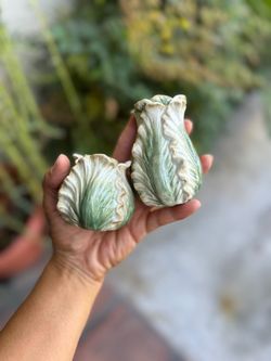 Lettuce Salt and Pepper Shakers
