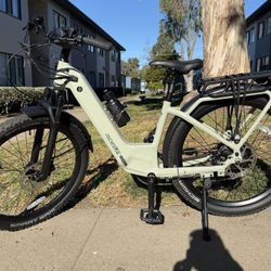 Electric Bike Vorsa Ride1up 