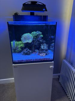 Redsea 50 Gallon Tank
