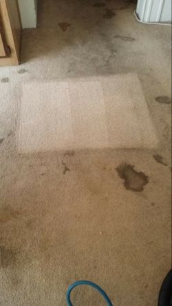 carpets
