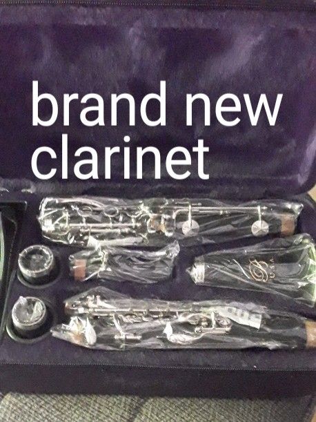 Brand New Clarinet, Has Never Been Played 