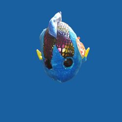 Ty's Beanie Boos Aqua The Fish