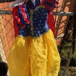 Disney Costume
