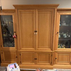 Large Wall Display Unit