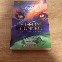 Book The Storm Runner