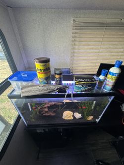 29 Gallon Fish Tank